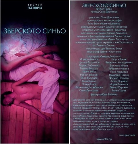 Флаер