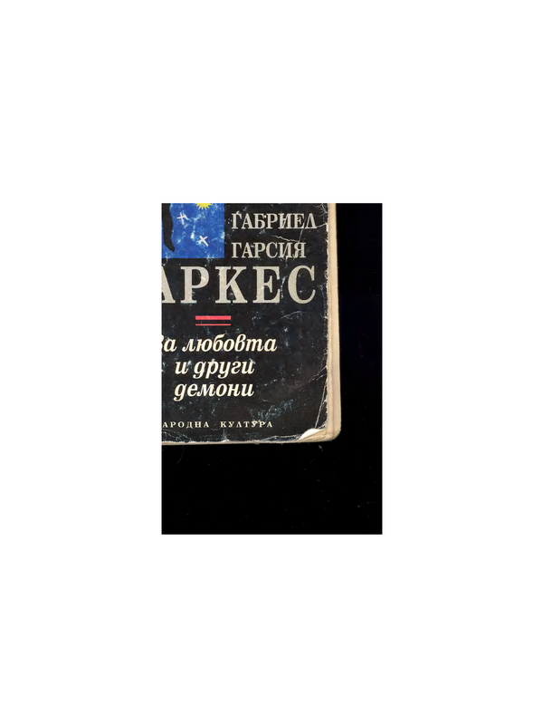 За любовта и други демони