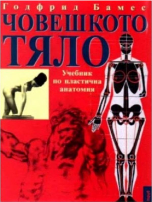 Човешкото тяло