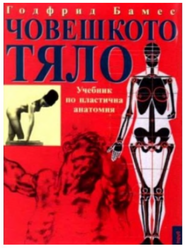 Човешкото тяло