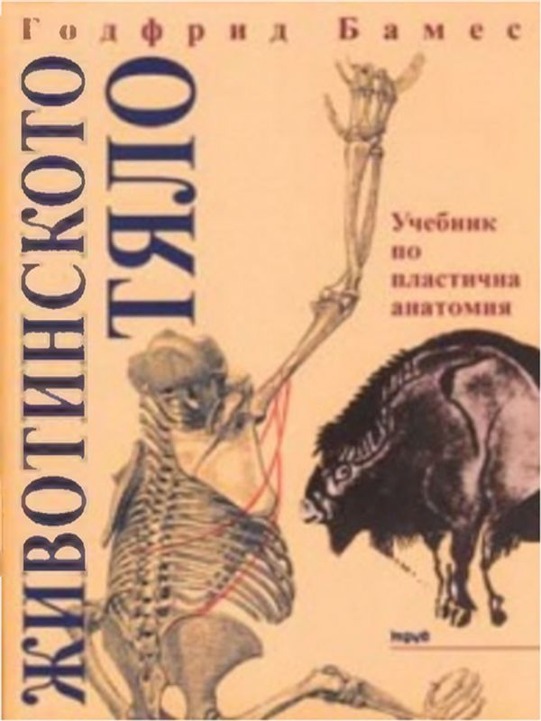 Животинското тяло