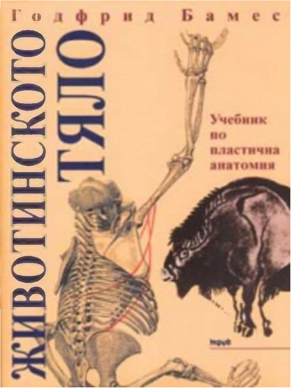 Животинското тяло
