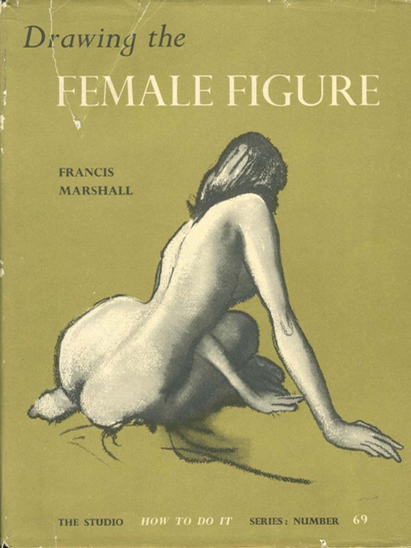 Drawing the Female Figure