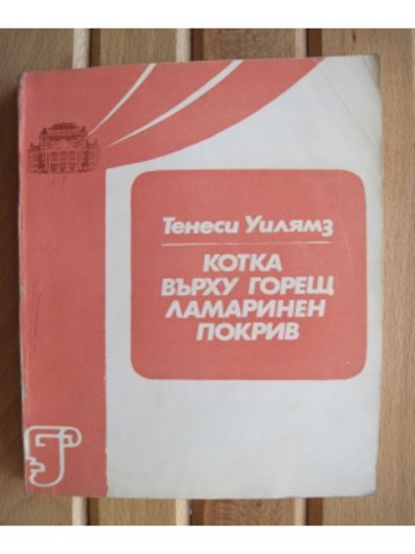 Котка върху горещ ламаринен покрив