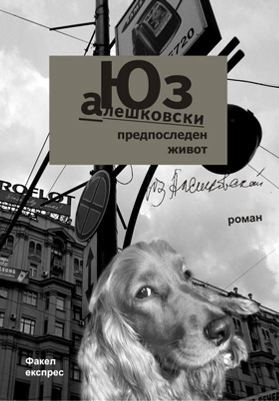 Предпоследен живот