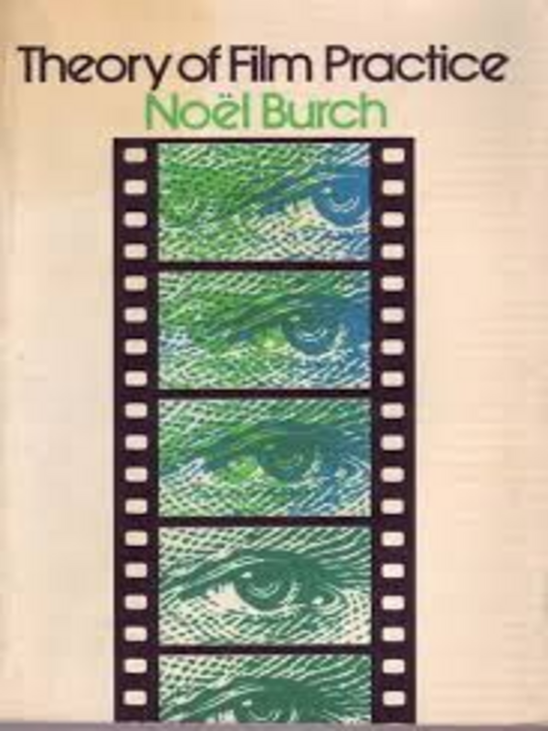 Theory of Film Practice