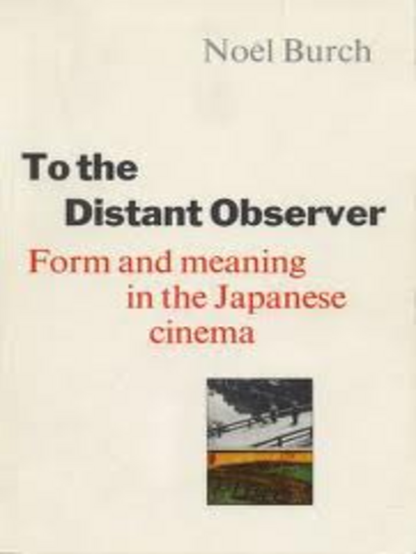 To the Distant Observer