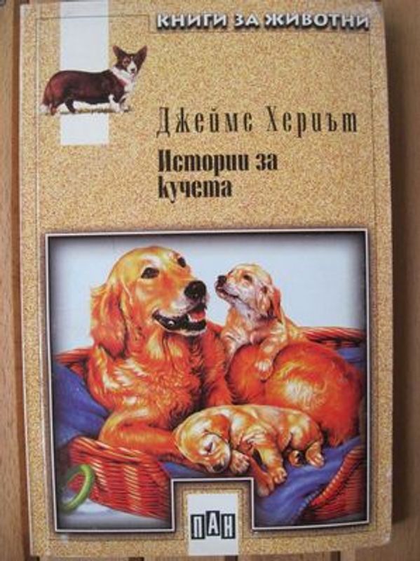 Истории за кучета