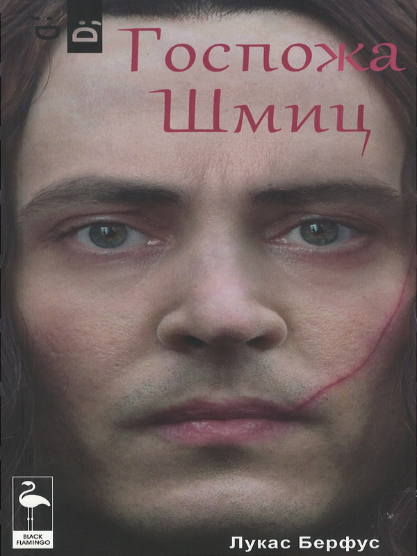 Госпожа Шмиц