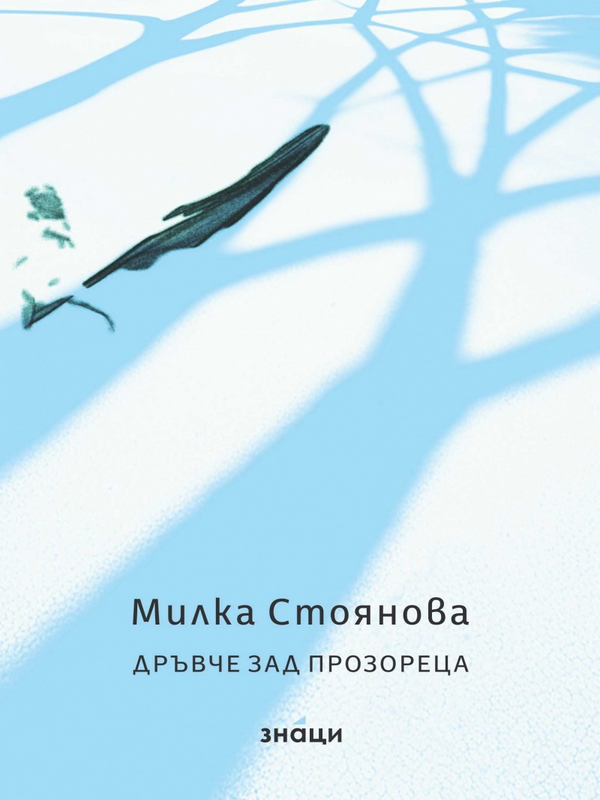 Дръвче зад прозореца