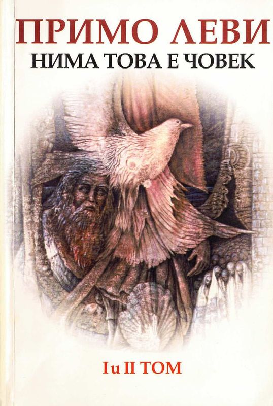 Нима това е човек ; Примирието