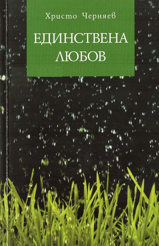 Единствена любов