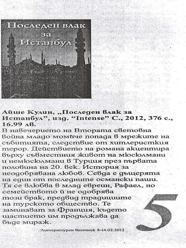Кратко представяне на книгата