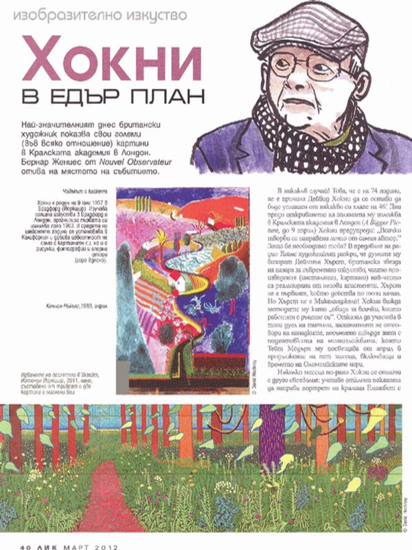 Хокни в едър план