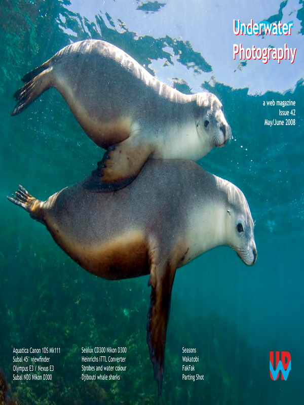 [Underwater photography]