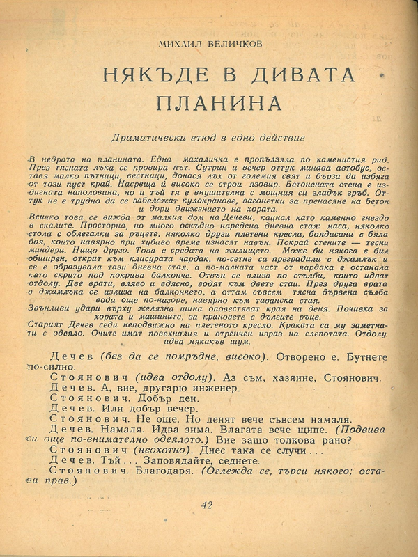Някъде в дивата планина