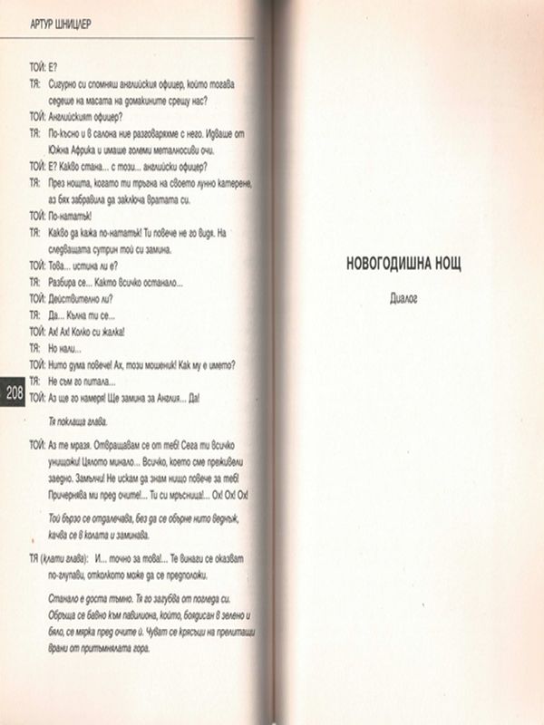 Новогодишна нощ