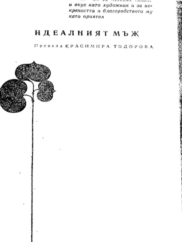 Идеалният мъж